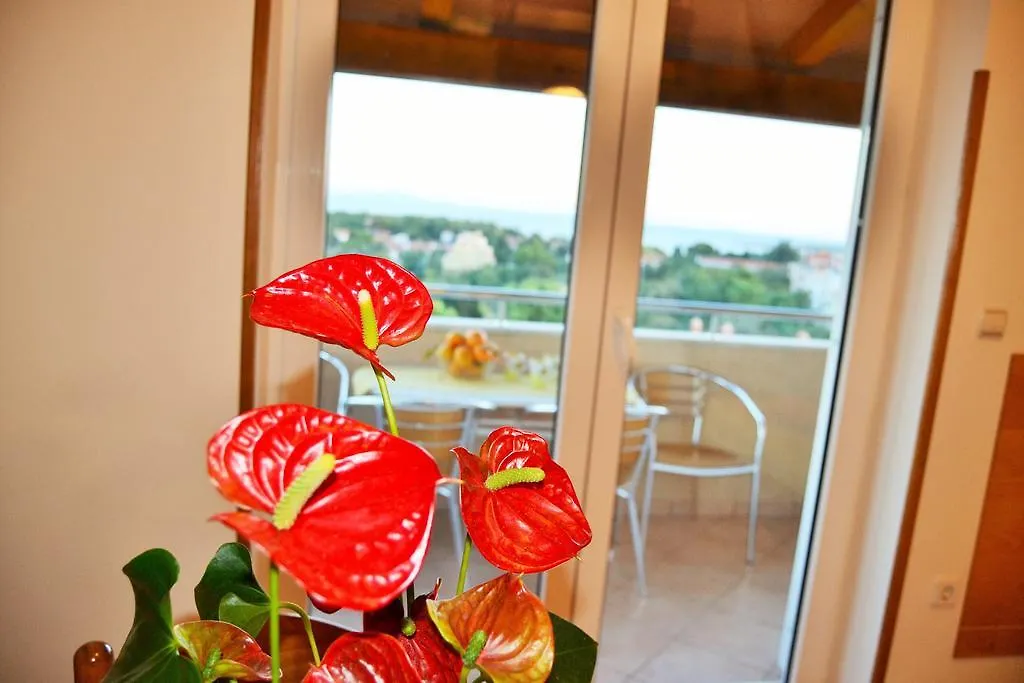 Apartments Tanja Premantura